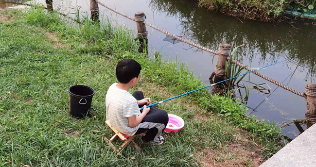 心智是信息鏈接與能量流動，心理測評系統(tǒng)也是心智的一種
